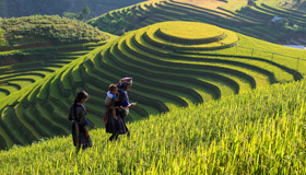 Sapa Classic Tours