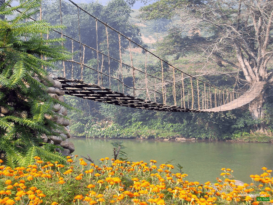 cloud_bridge_sapa
