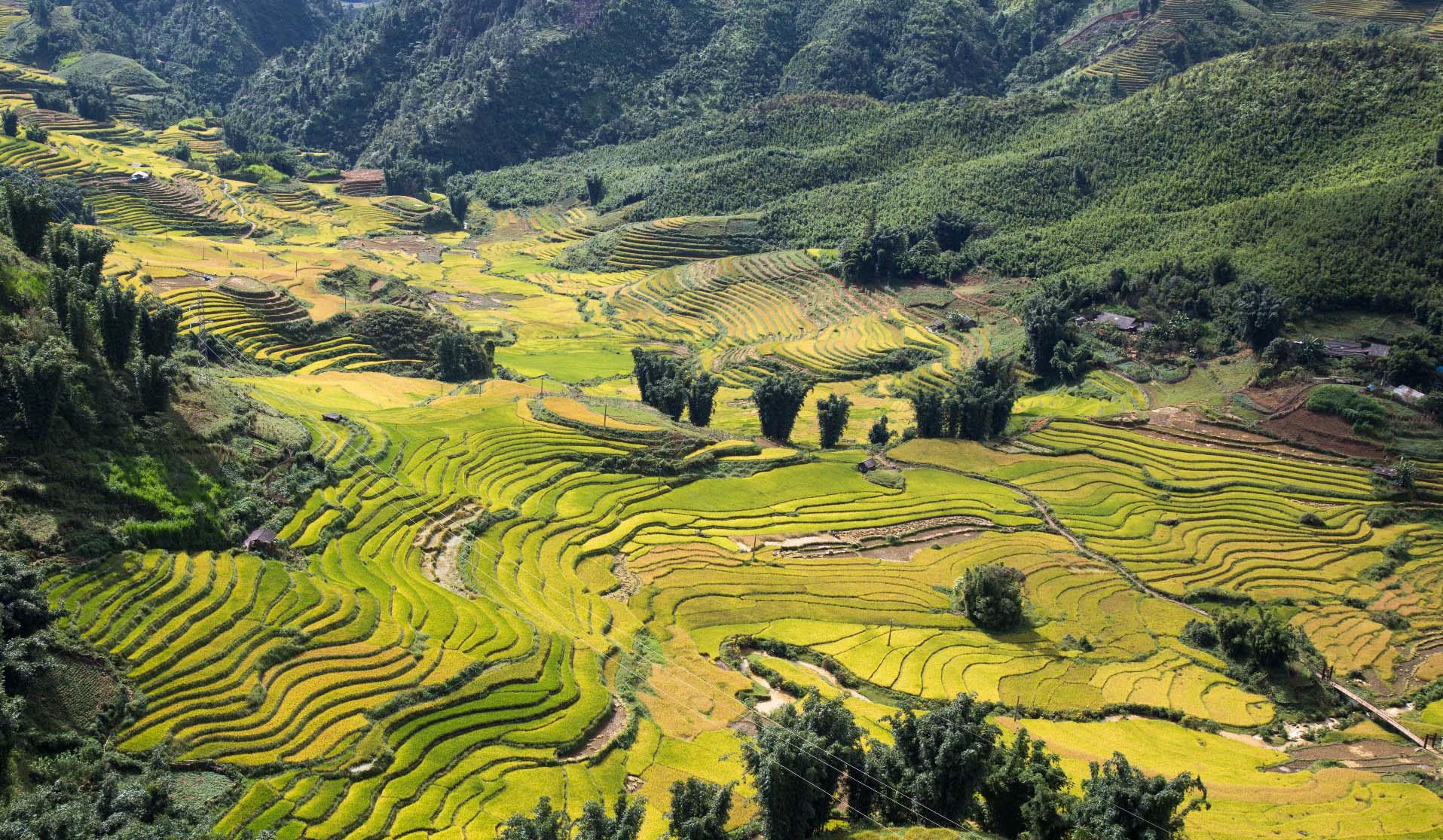 Muong_Hoa_Valley_sapa